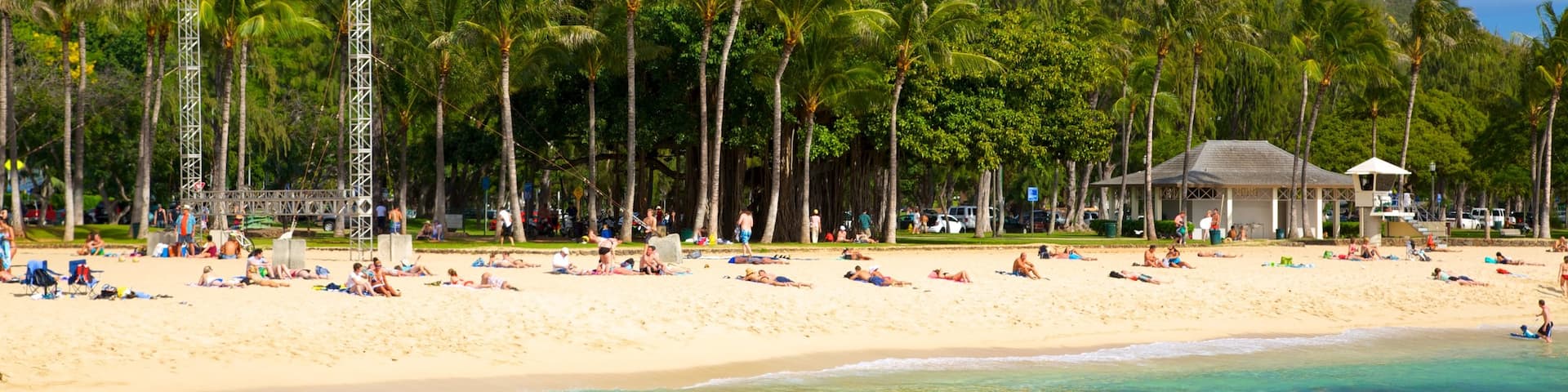 Kapiolani Park which includes swimming, tropical scenes and a garden