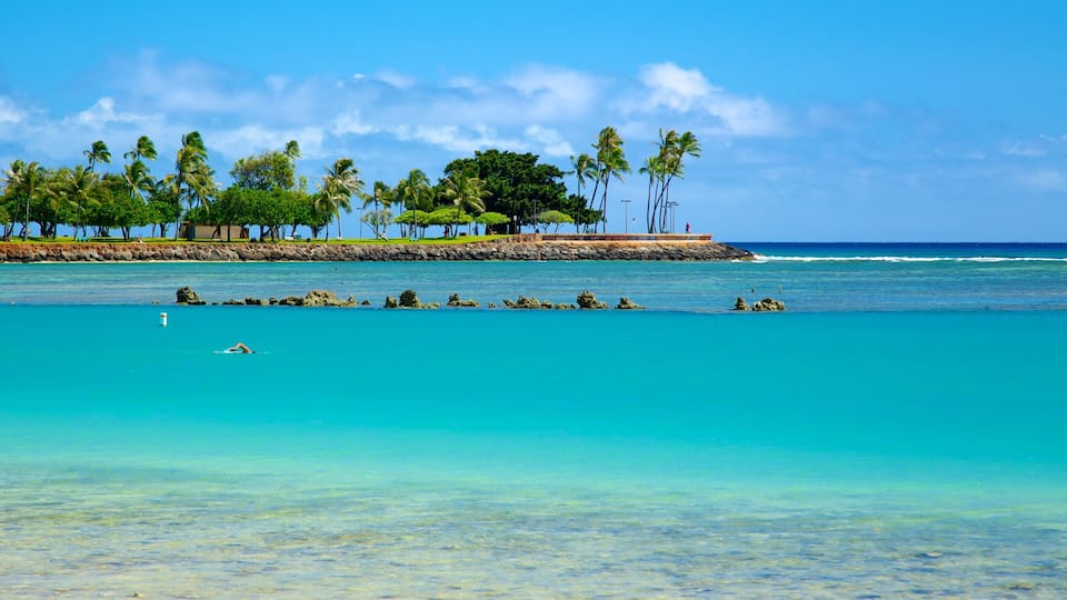Ala Moana Beach Park which includes general coastal views, swimming and tropical scenes
