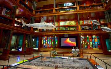 ビショップ博物館 ホノルル エクスペディア ビショップ博物館 ホノルル エクスペディア