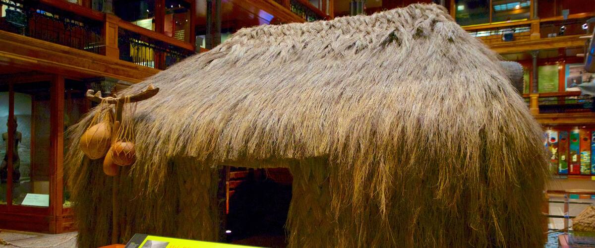 Bishop Museum which includes interior views