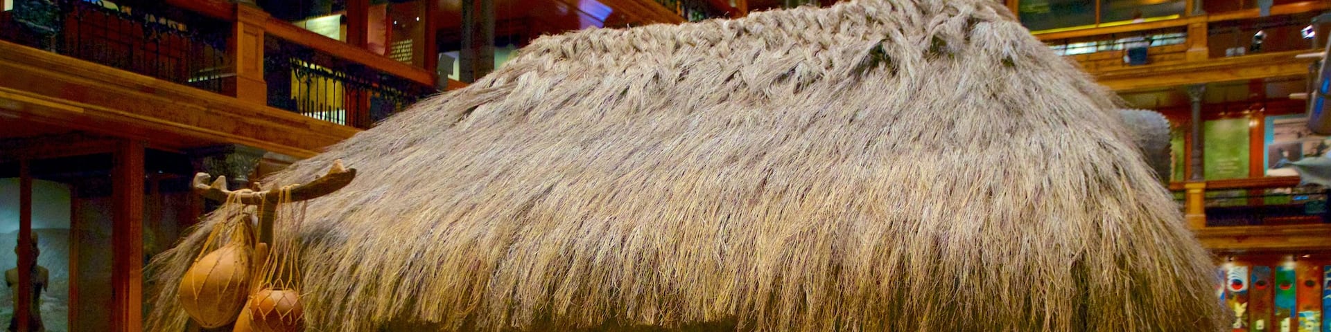 Bishop Museum ofreciendo vistas interiores