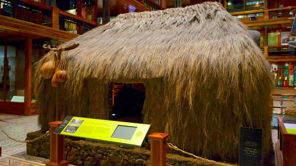 Bishop Museum showing interior views