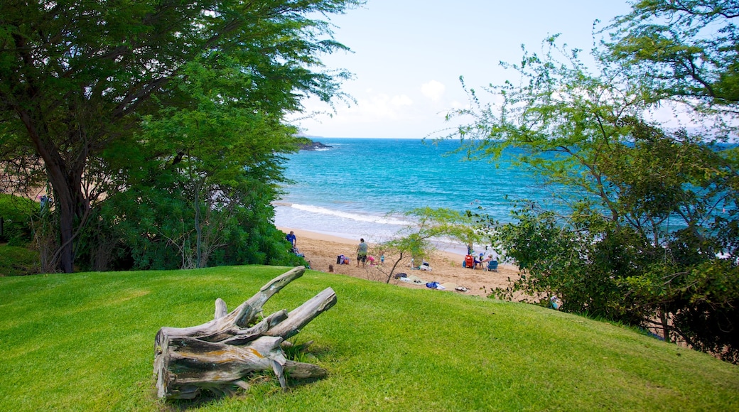 Wailea Beach showing a sandy beach and tropical scenes