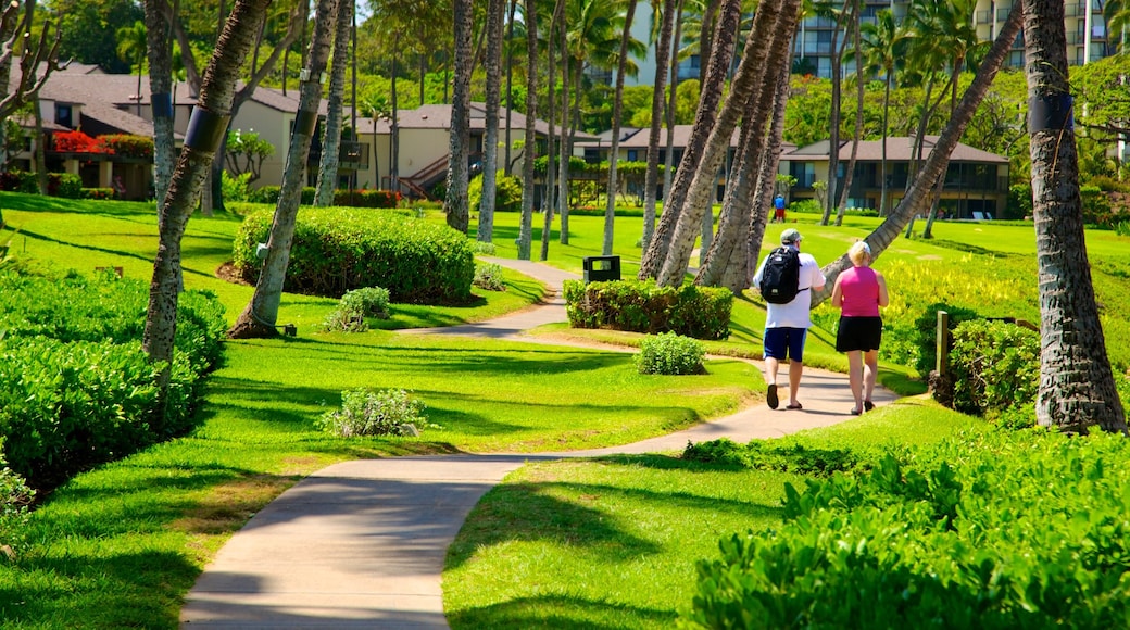 Wailea Beach featuring a garden and tropical scenes as well as a couple