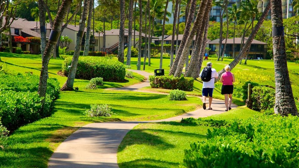 Wailea Beach montrant parc et scènes tropicales aussi bien que couple