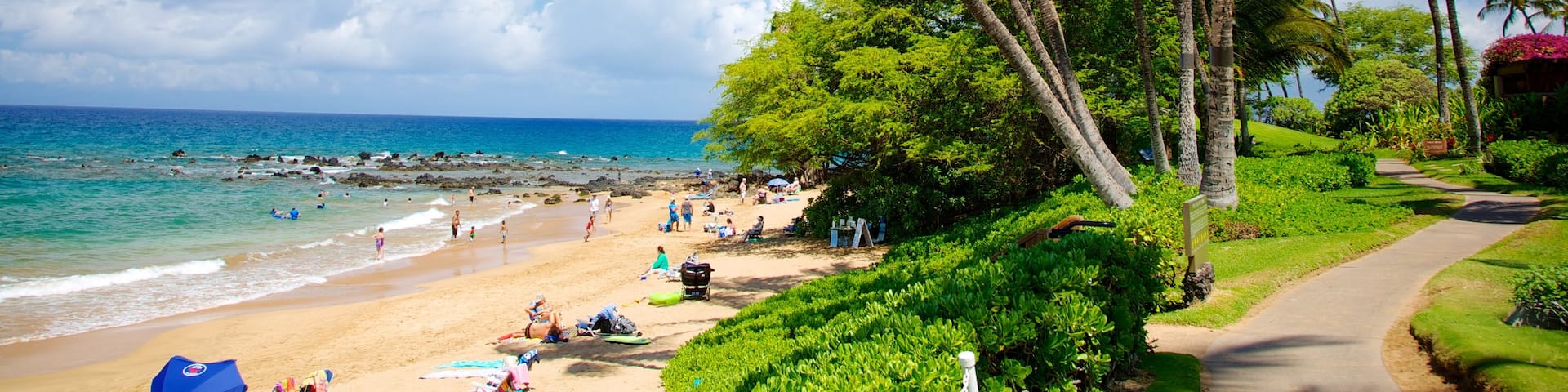Wailea Beach showing a sandy beach, tropical scenes and swimming