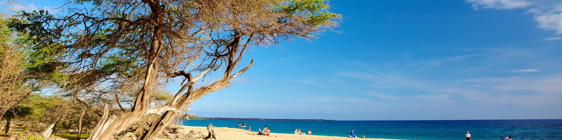 Makena Beach State Park showing a beach