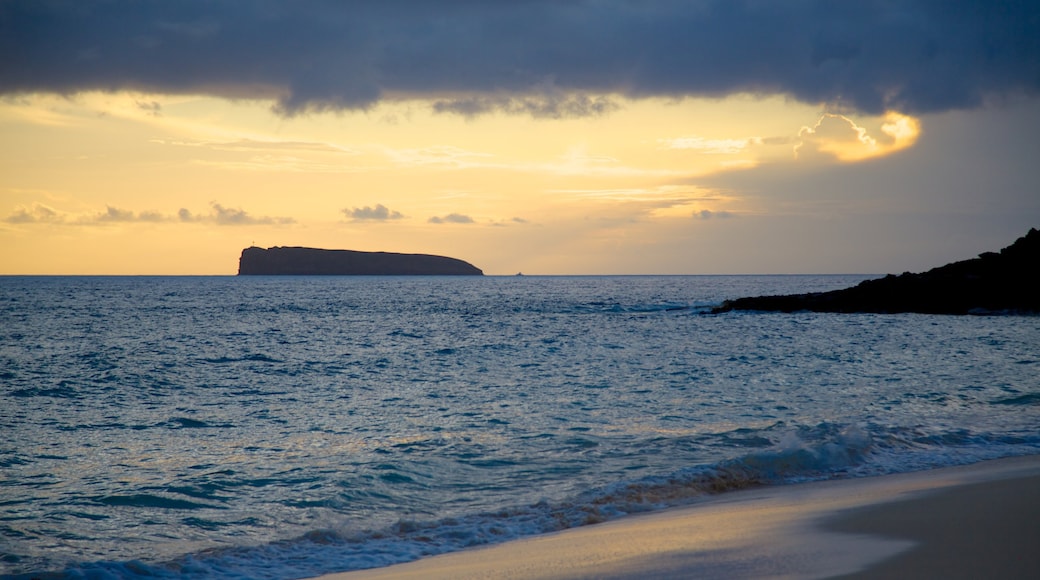 Makena Beach State Park which includes a beach