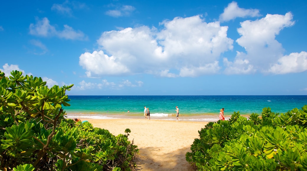 Keawakapu Beach which includes tropical scenes, landscape views and a beach