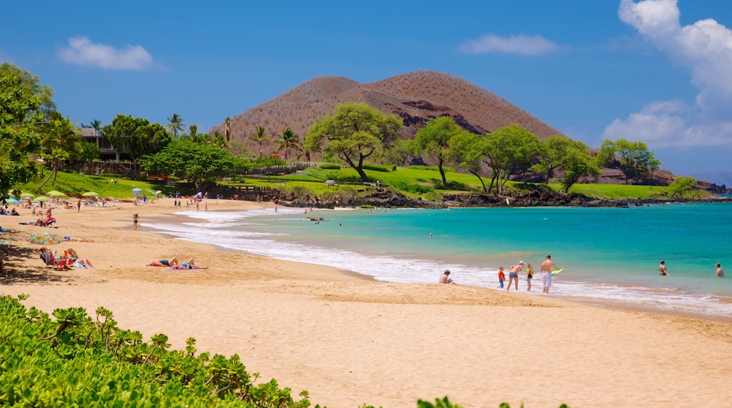 Maluaka Beach showing landscape views, a beach and tropical scenes