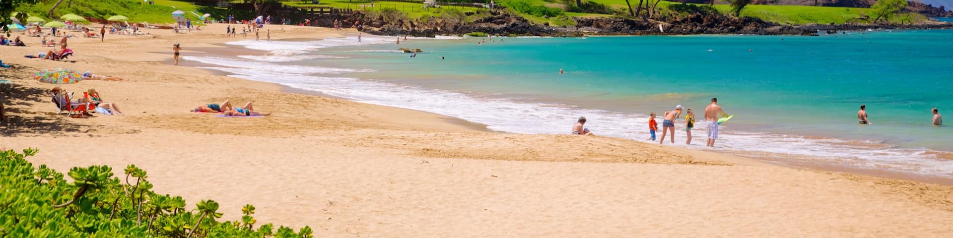 マルアカ ビーチ 表示 自然の風景, 常夏の風景 と ビーチ