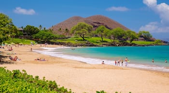 Maluaka Beach qui includes panoramas, plage et scènes tropicales