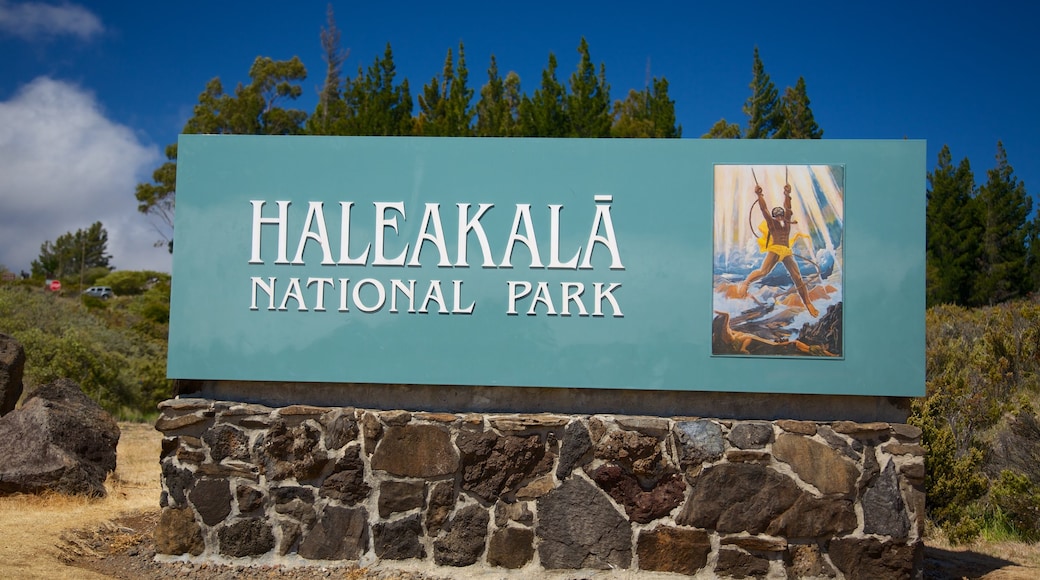 Haleakala Crater showing signage and a park