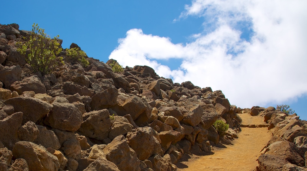 Haleakala Crater presenterar stillsam natur och vandring