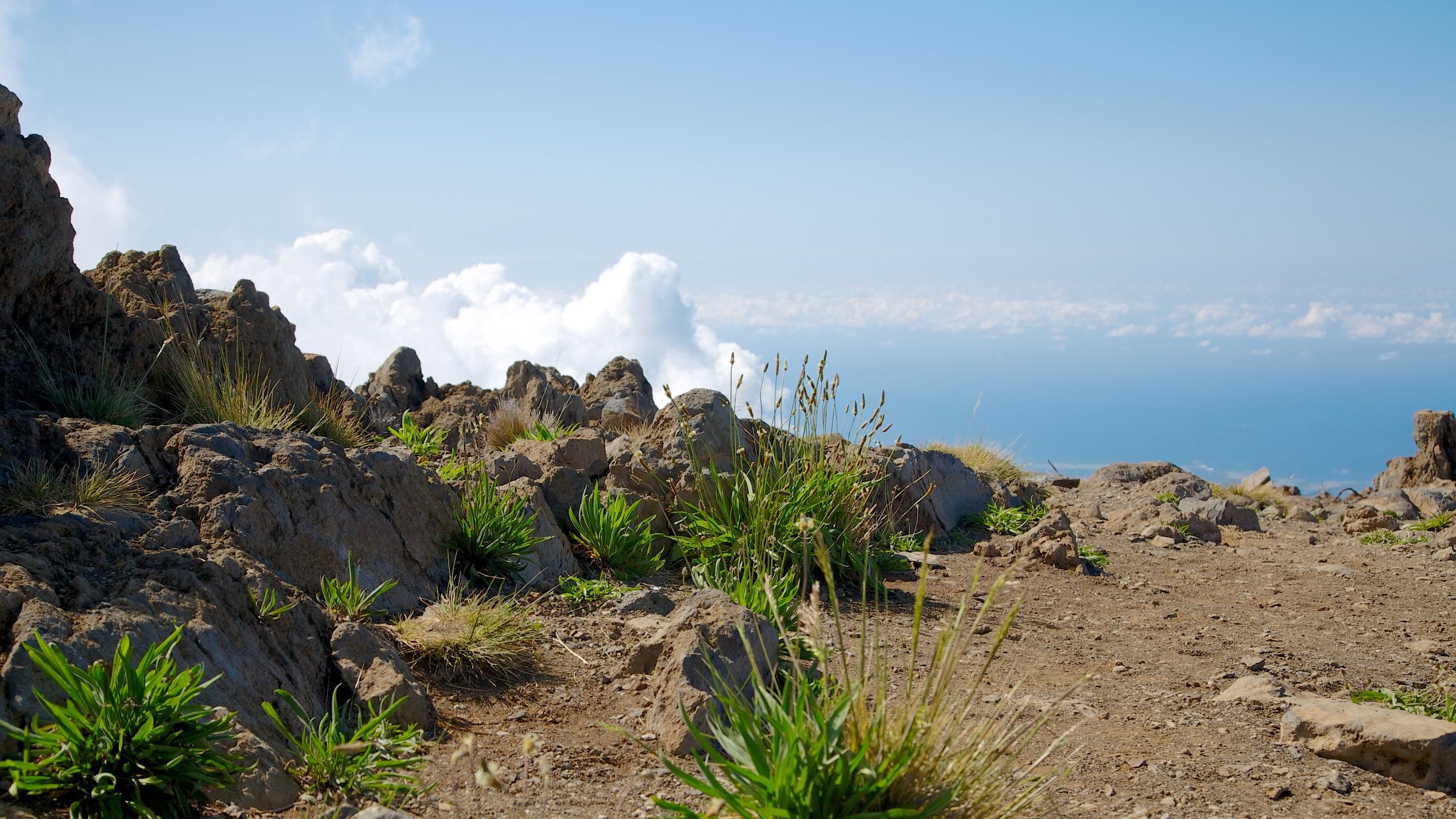 Haleakala Crater, Kula Vacation Rentals villa rentals & more Vrbo