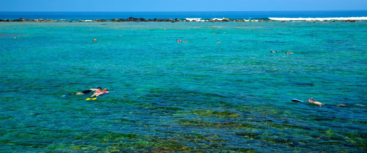 Kahalu\'u Beach Park featuring landscape views, snorkelling and coral