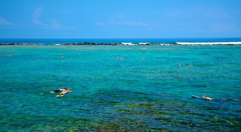 Kahalu\'u Beach Park caracterizando paisagem, recifes coloridos e snorkel