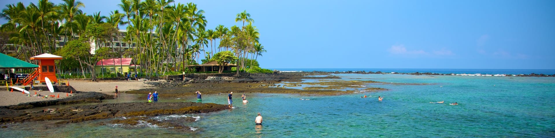 Kahalu\'u Beach Park which includes general coastal views and tropical scenes