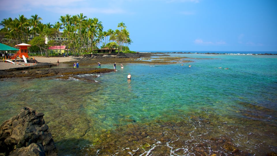 Kahalu\'u Beach Park mettant en vedette scènes tropicales et vues littorales