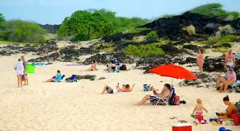 Kua Bay mostrando spiaggia sabbiosa e paesaggio tropicale