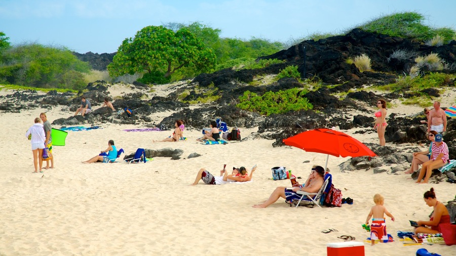 Kua Bay showing a sandy beach and tropical scenes