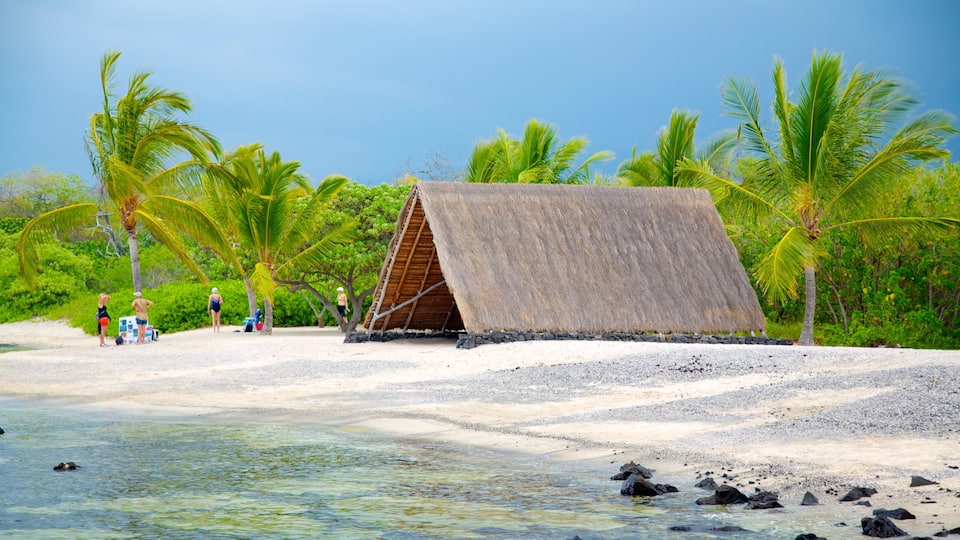 Kaloko-Honokohau National Historical Park mettant en vedette plage et scènes tropicales