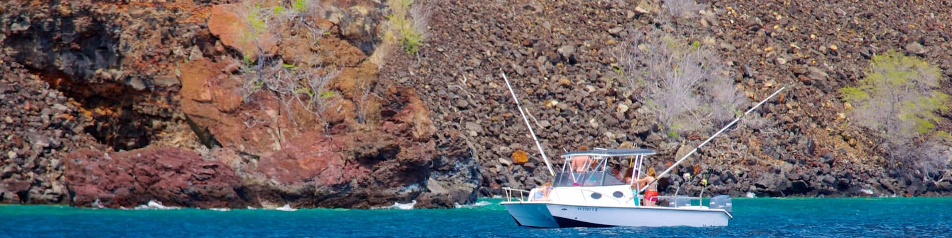 Captain Cook Monument which includes rugged coastline, landscape views and boating