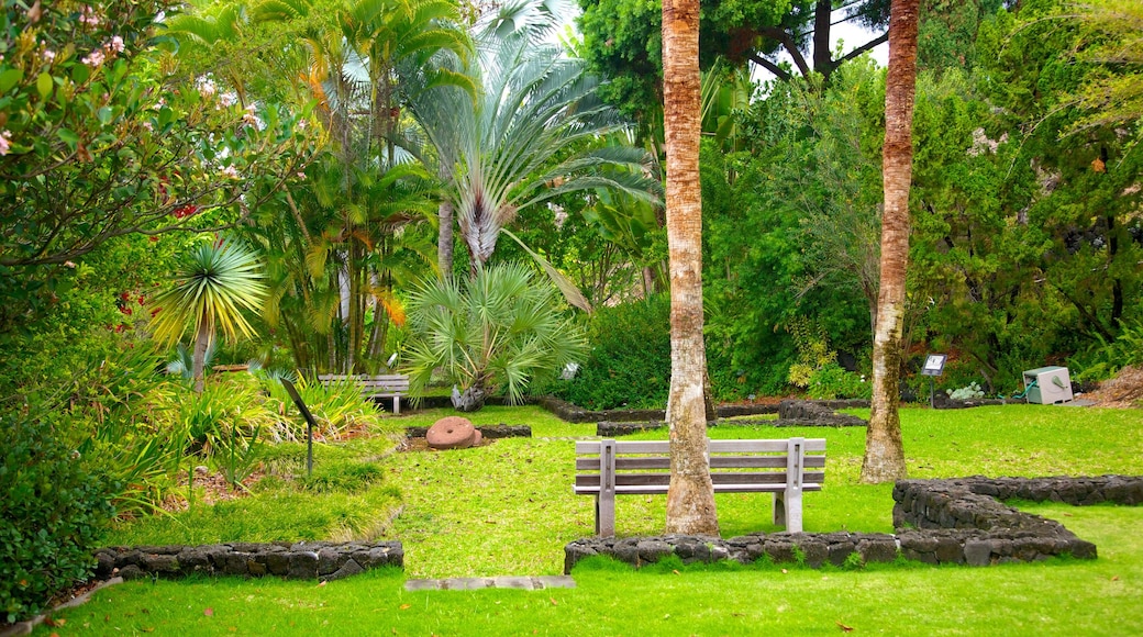 Sadie Seymour Botanical Garden toont een tuin en tropische uitzichten