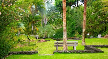 Sadie Seymour Botanical Garden presenterar tropisk natur och en trädgård