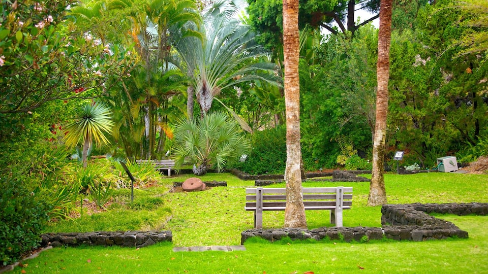 Sadie Seymour Botanical Garden che include giardino e paesaggio tropicale