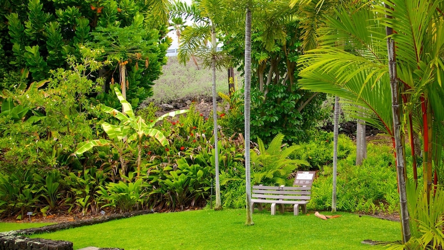 Sadie Seymour Botanical Garden inclusief een tuin