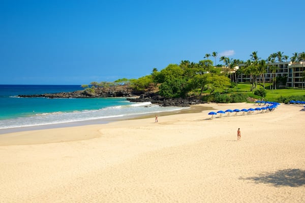 Hapuna Beach State Park featuring a sandy beach, a coastal town and tropical scenes