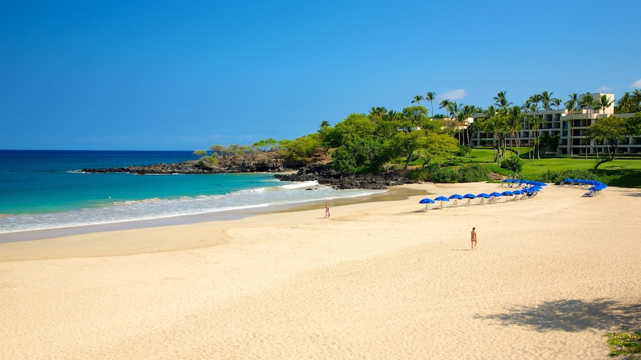 Hapuna Beach State Park showing a coastal town, tropical scenes and landscape views