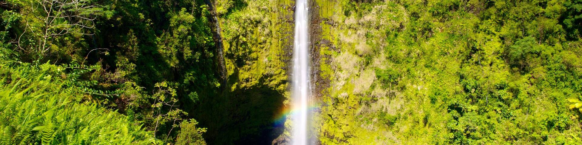 Akaka Falls which includes a waterfall and landscape views
