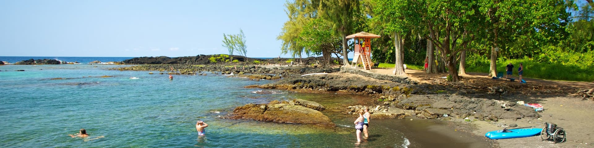 Richardson\'s Ocean Park showing a beach and landscape views