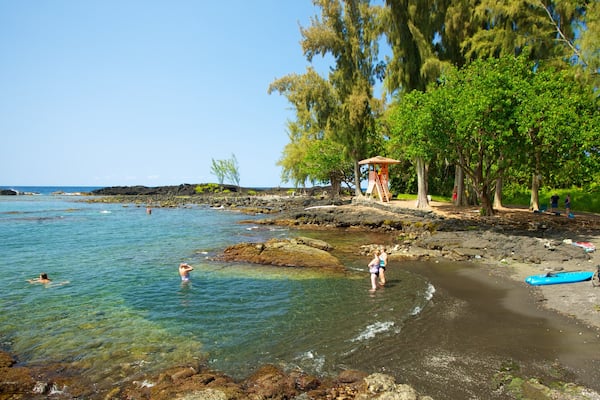 Richardson\'s Ocean Park welches beinhaltet Strand und Landschaften