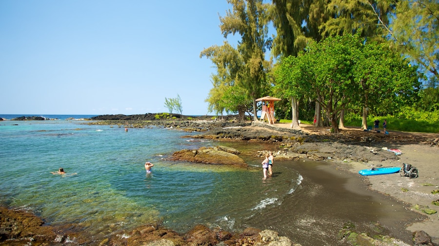 Richardson\'s Ocean Park que incluye una playa de arena y vistas de paisajes