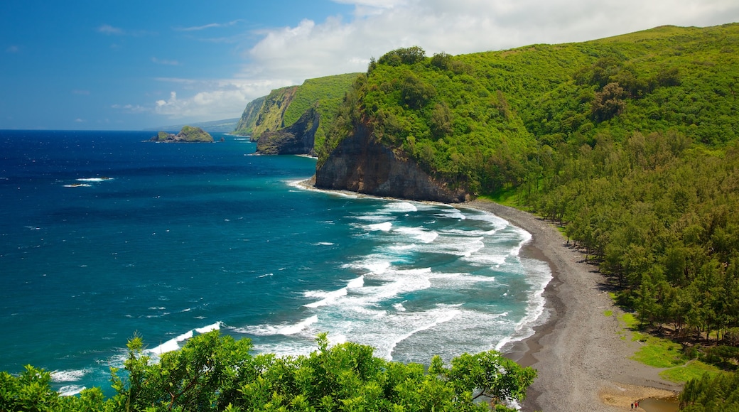 Hawaii mit einem allgemeine Küstenansicht, Landschaften und Ansichten