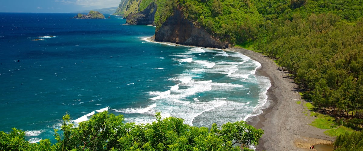 Hawaii mit einem allgemeine Küstenansicht, Landschaften und Ansichten