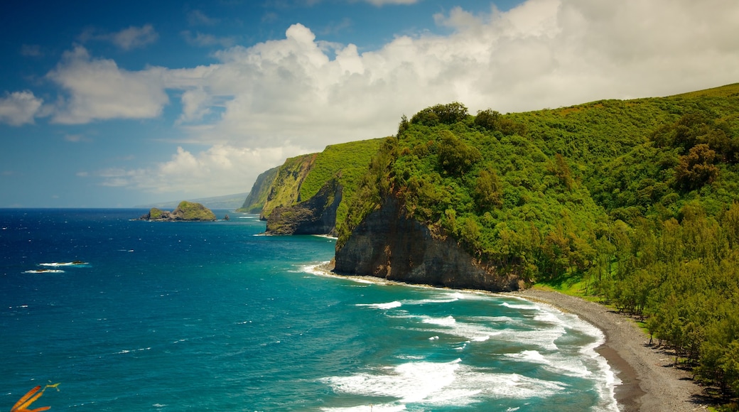 Pololu Valley Overlook showing general coastal views and landscape views