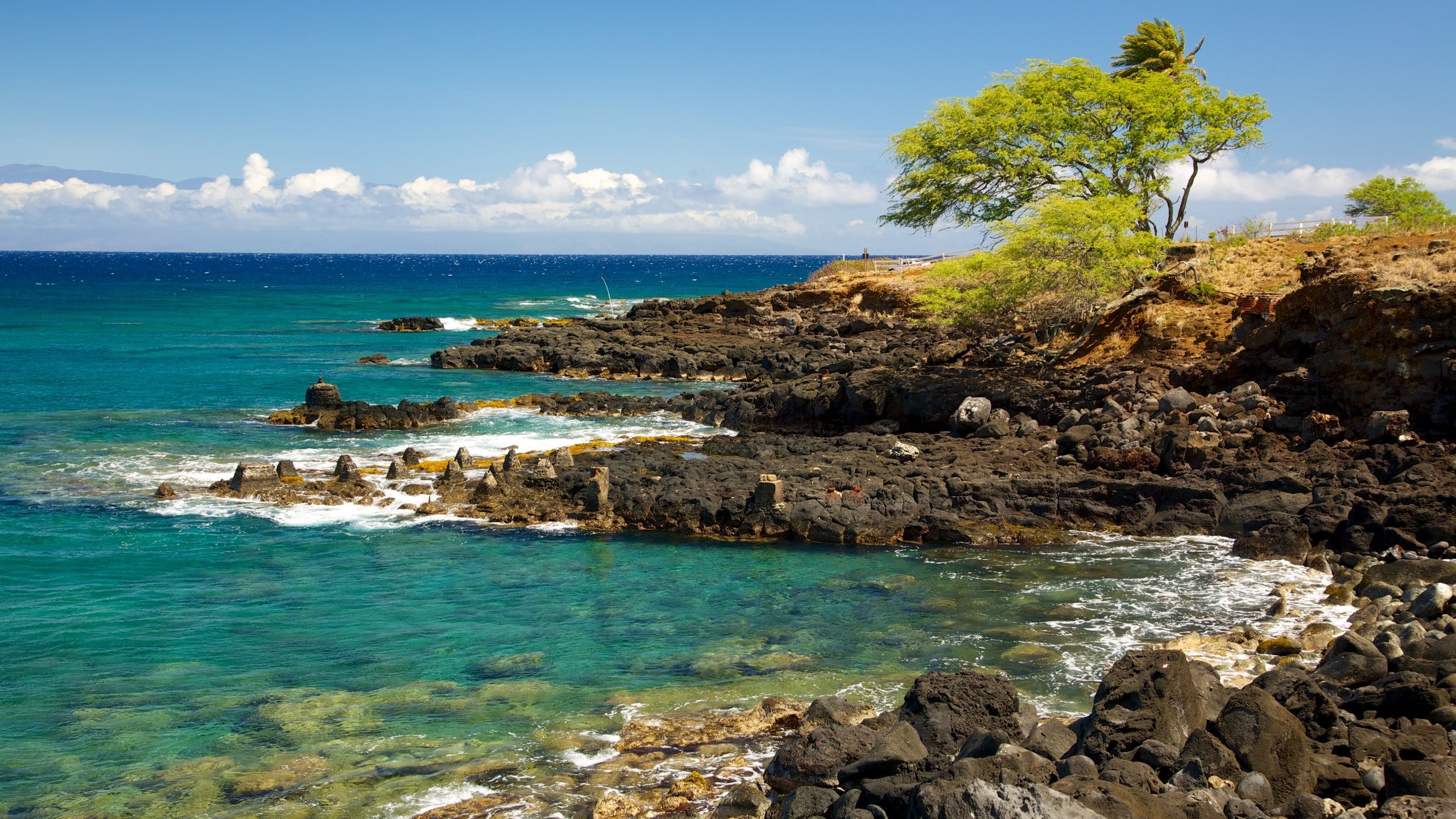 Kohala Coast - Waikoloa showing rugged coastline, tropical scenes and landscape views