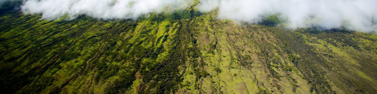 Maui mit einem Landschaften