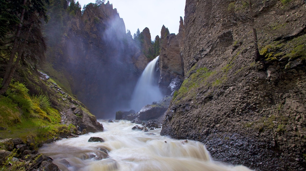 Yellowstone National Park showing mist or fog, rapids and landscape views