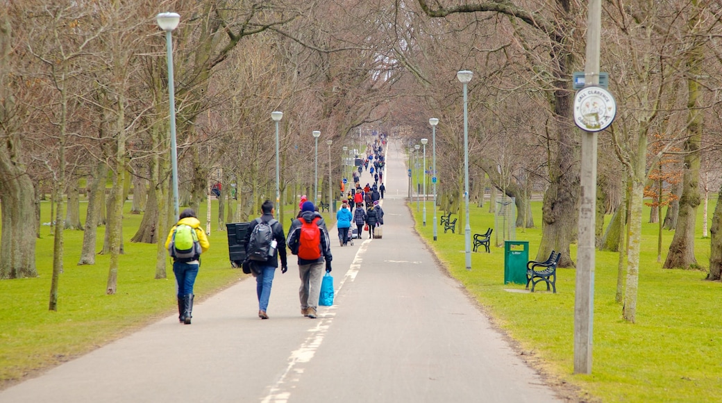 The Meadows joka esittää patikointi tai kävely ja katunäkymät sekä pieni ryhmä ihmisiä