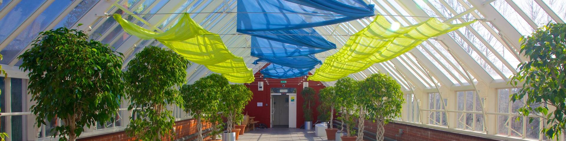 Queen\'s Park featuring a garden and interior views