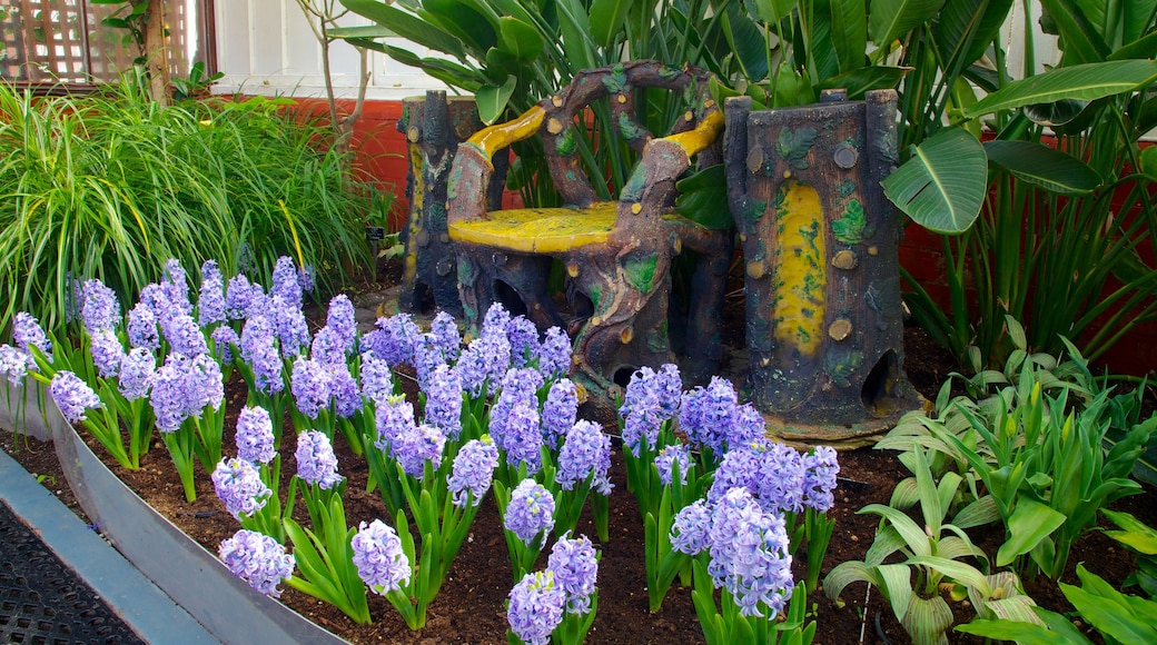 Queen\'s Park showing flowers and a garden