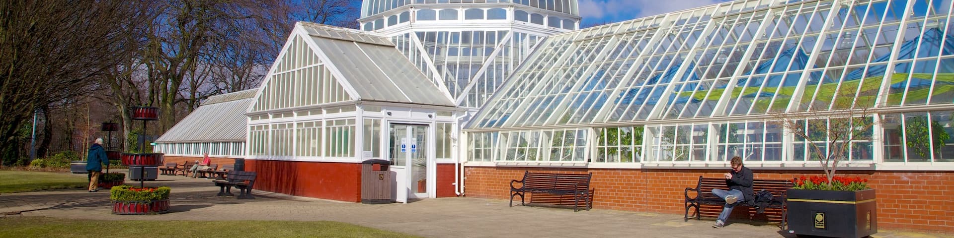 Queen\\\'s Park showing a garden