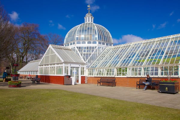 Queen\'s Park featuring a park