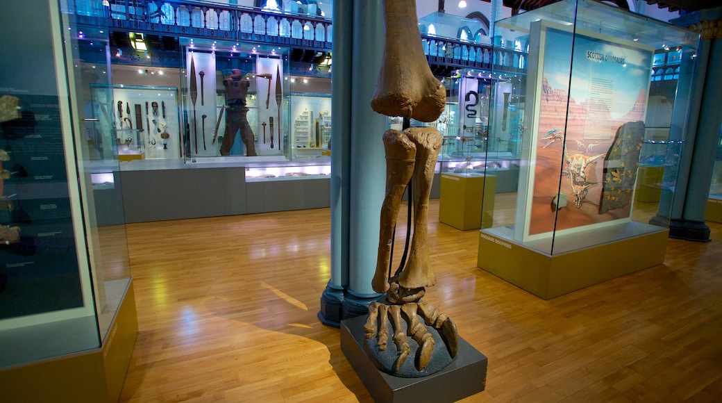 Hunterian Museum showing interior views and art