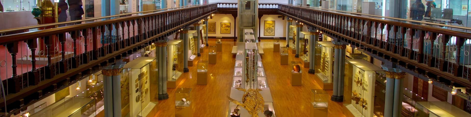 Hunterian Museum which includes interior views